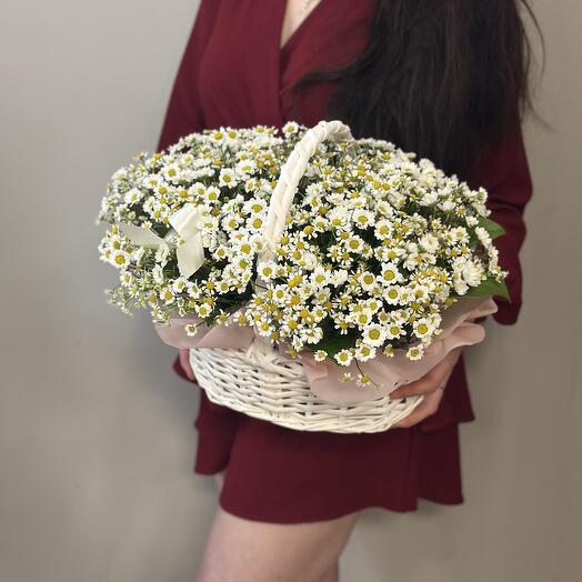 Корзина с ромашками и сантини