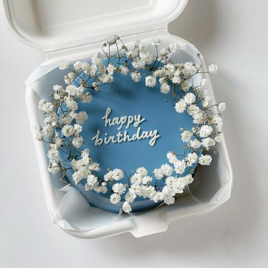 Бенто торт с гипсофилой «Happy birthday»