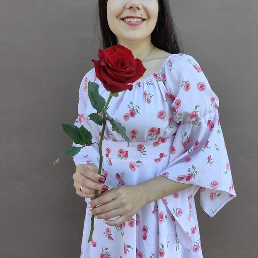 Роза бордовая
