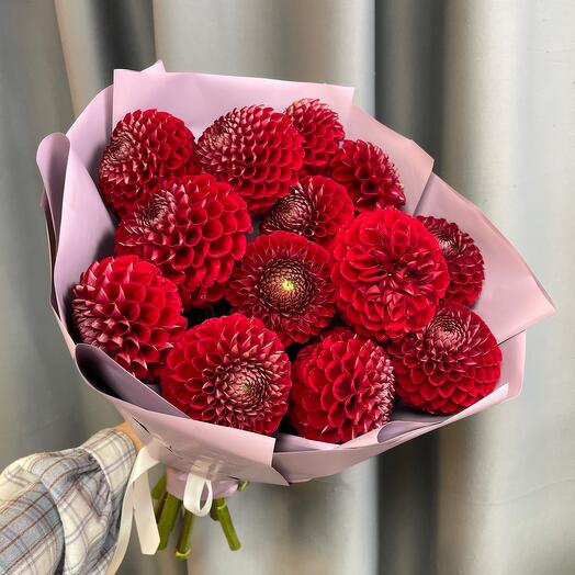 Георгины 13шт