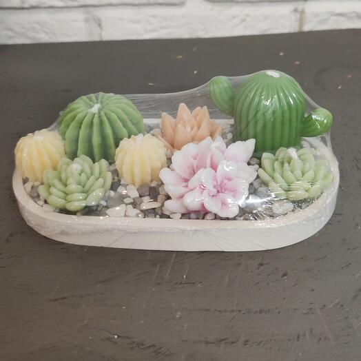 Аромасвеча "Кактусы"