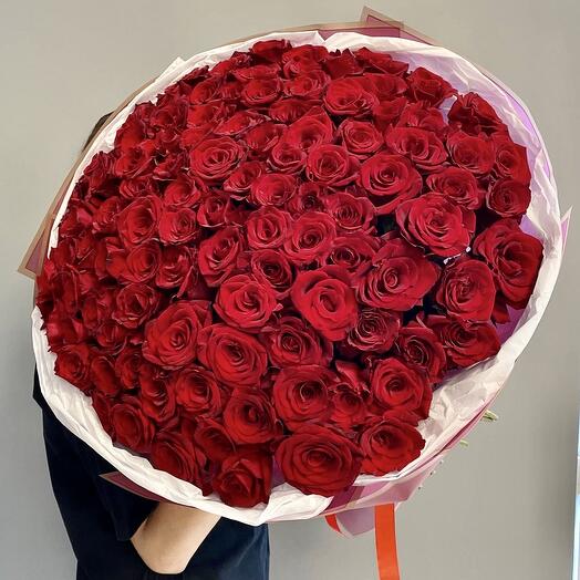 Моно букет из 101 темно-бордовой Розы «эффект вау»