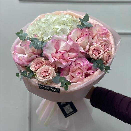 💗 Blush   Bloom