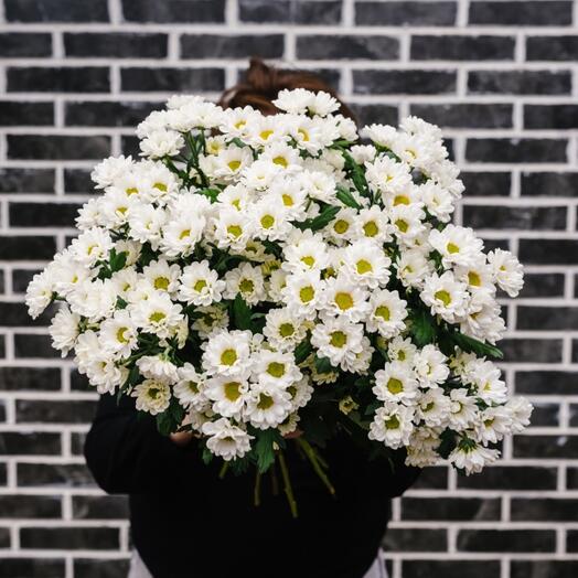 Охапка Сантини