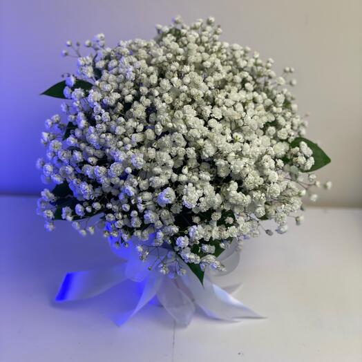 Снежное облачко