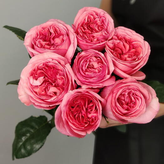 7 пионовидных роз Пинк экспрешн 💕