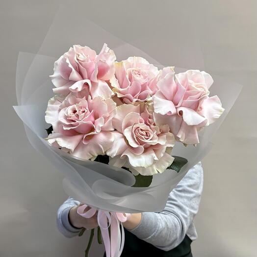 5 французских роз | монобукет из фрацузских роз