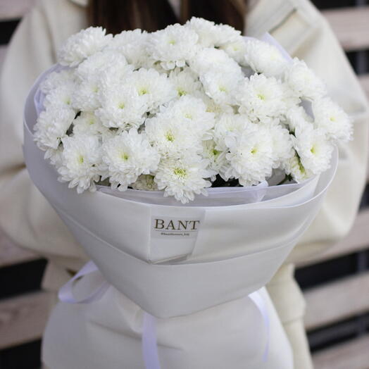 Белые хризантемы