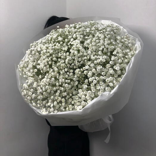 Воздушное облако гипсофил