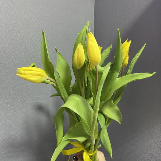 Желтые тюльпаны (9 шт)