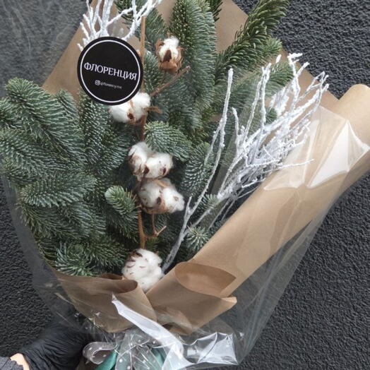 Хлопок в снегу