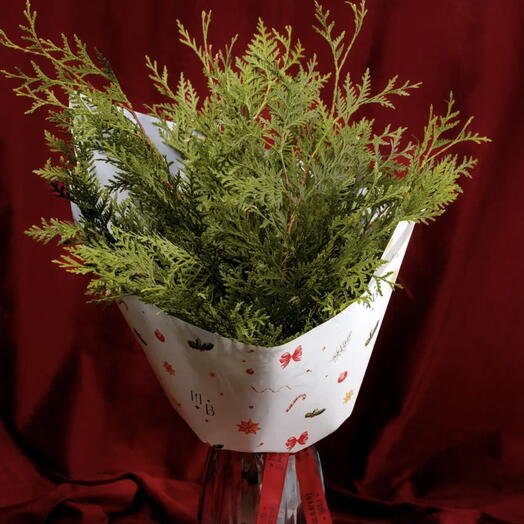 Моно-букет из Конифера