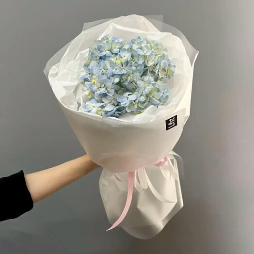Букет-комплимент из голубой гортензии
