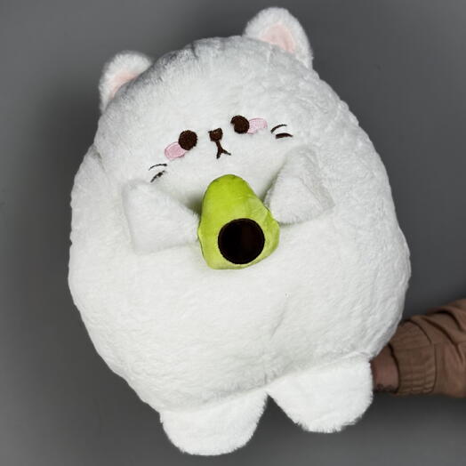 Котик с авокадо