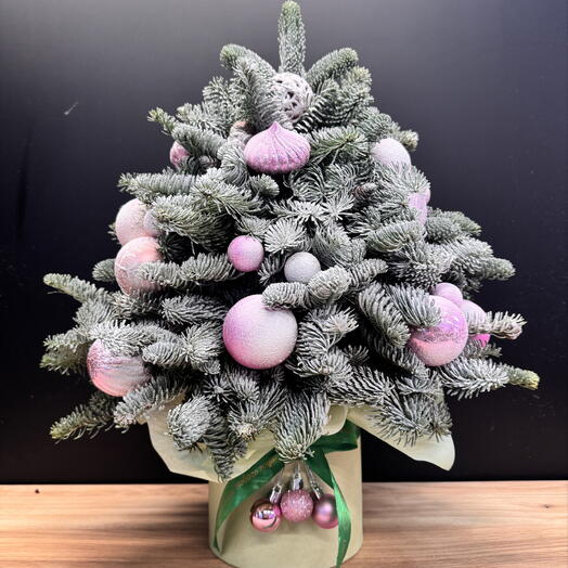 Ель из нобилиса в розовом цвете