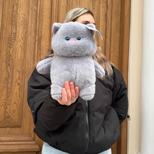 Плюшевый котик