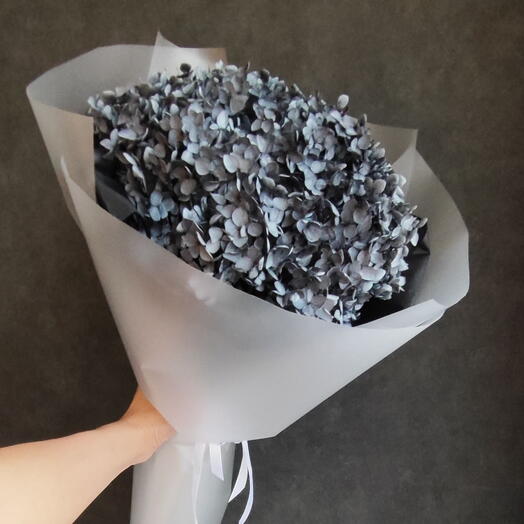 Чёрная стабилизированная гортензия🖤