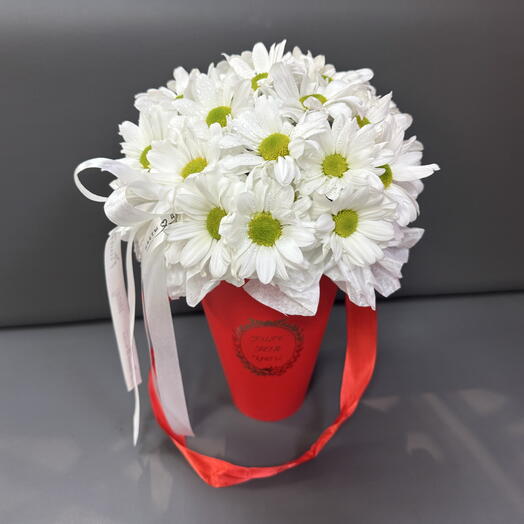 Композиция «just for you