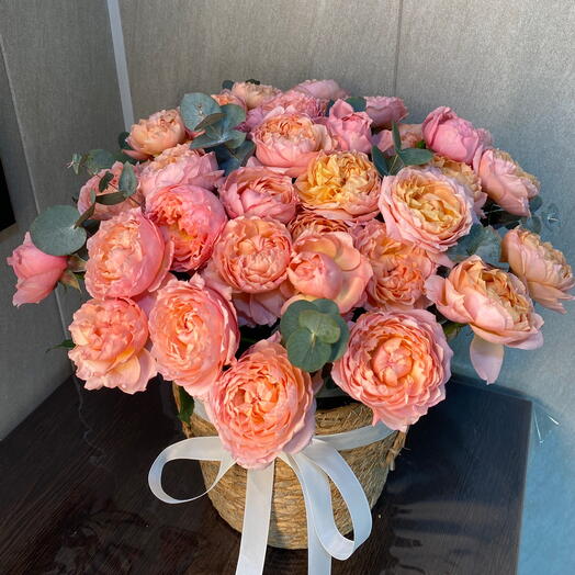 Julietta Garden в кашпо