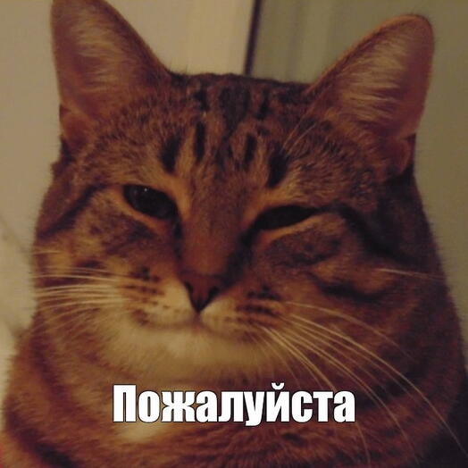 Тест тест