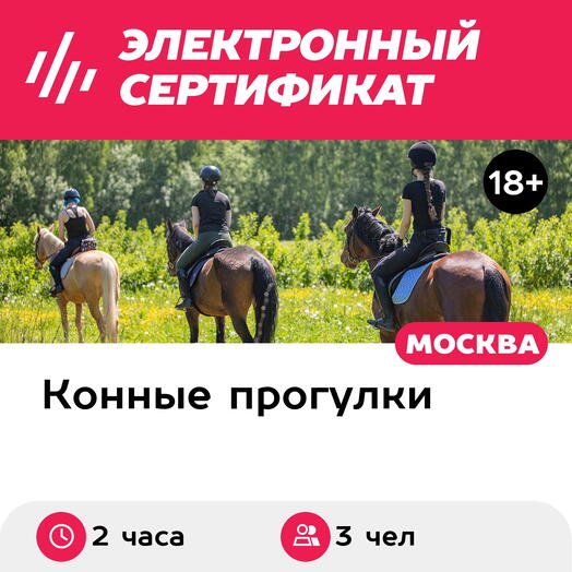 Подарочный сертификат Индивидуальный конный поход с привалом, 3 чел. (2 часа) (Москва)