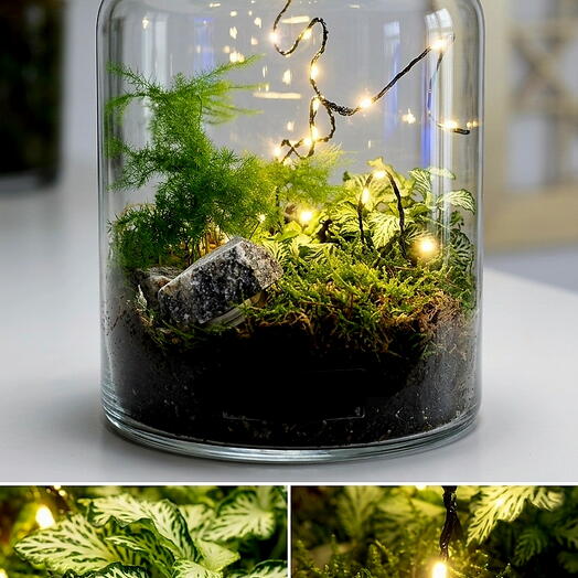 Terrarium "Botanical Sanctuary"