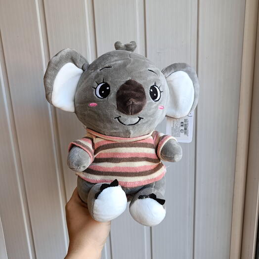 Коала