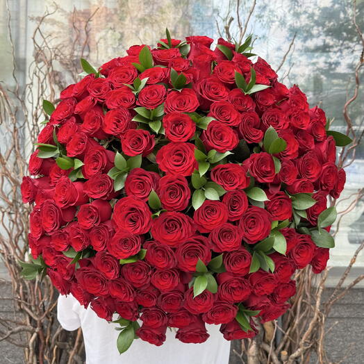 Розы красные 101 шт 🌹