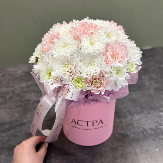 Коробка комплимент из хризантем
