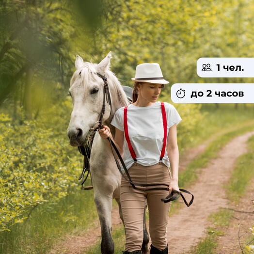 Грациозный шаг. Конная экскурсия в пгт. Дагомыс