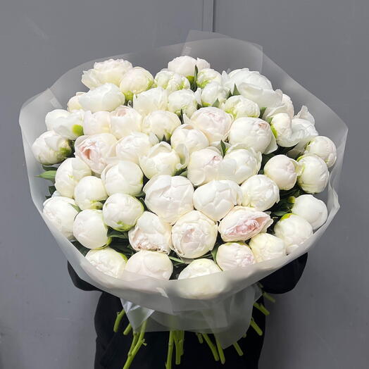 Белые пионы 51 шт (0006) peony 🤍