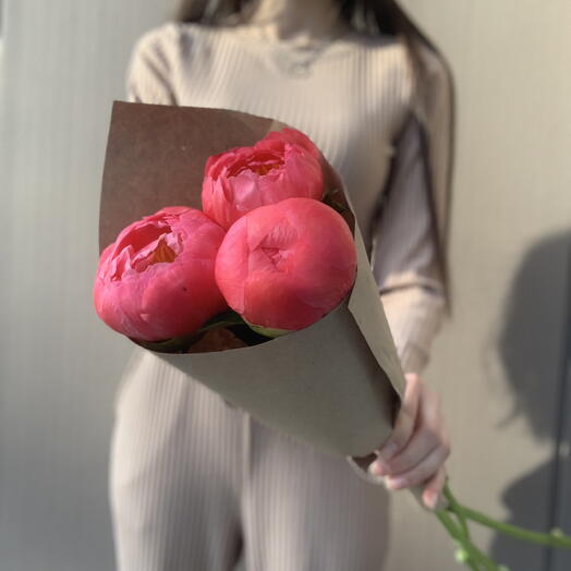 Моно из 3 коралловых пионов