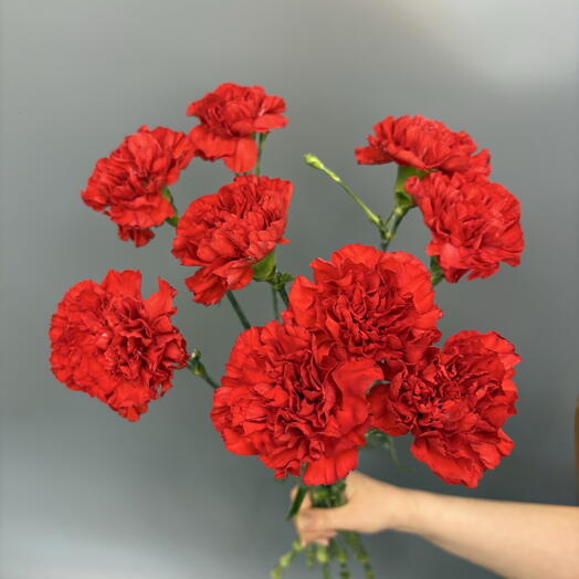 9 красных гвоздик