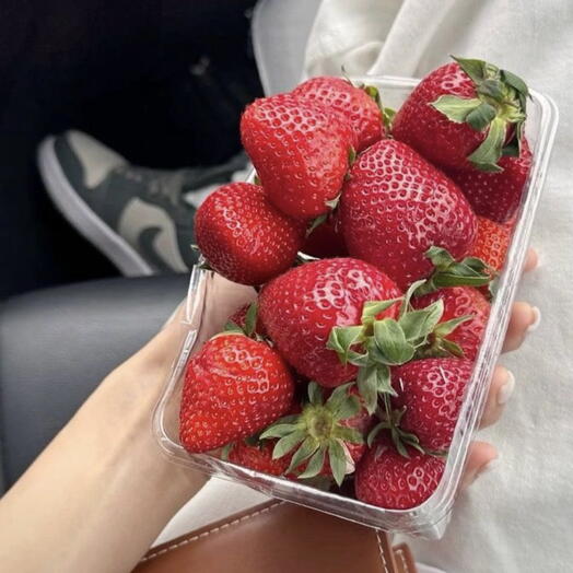 Клубника в лоточке