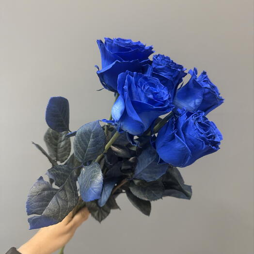 Синие розы 5 штук под ленту 💙