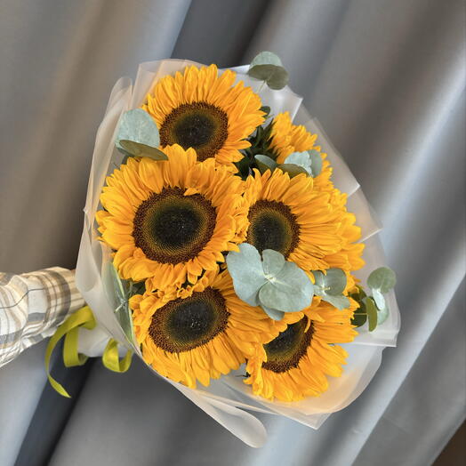 Подсолнухи 🌻