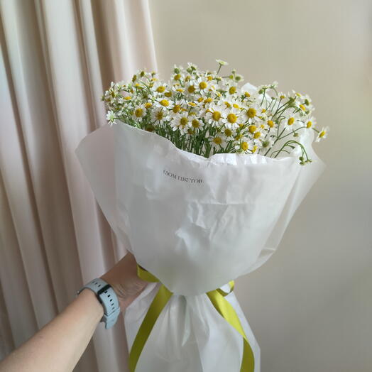 Ромашки мини 🌸