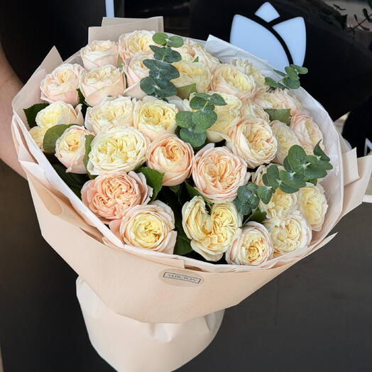 Maison Peony Eucalyptus 🌿