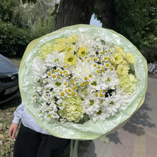 Ромашковый бум 🌼