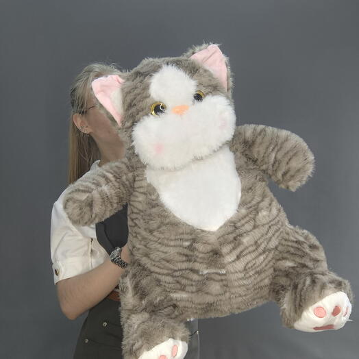 Большой кот