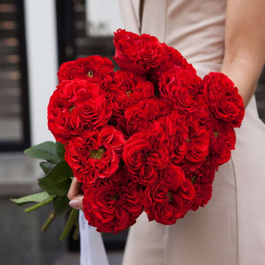 Ramo de 15 rosas "red Monster"