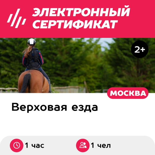 Подарочный сертификат Индивидуальное обучение верховой езде с тренером, 1 чел., 1 час, будние дни