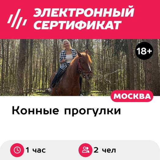 Подарочный сертификат Романтическая конная прогулка шагом, 2 чел. (1 час) (Московская область)
