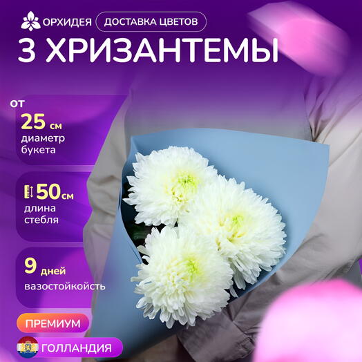 Букет 3 Хризантем магнум белые
