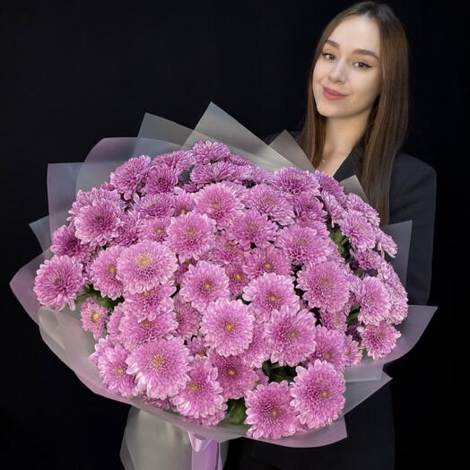 Букет из 15 малиновых кустовых хризантем Fabienne (КМБ042)