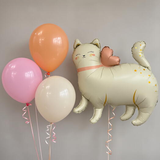 🐱 Набор воздушных шаров «Кошечка»