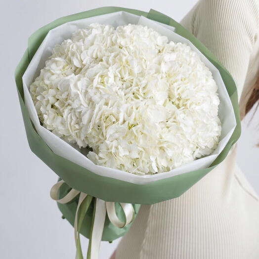 Букет из белых гортензий в красивой упаковке (9шт)