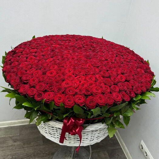 Корзина из 301 розы