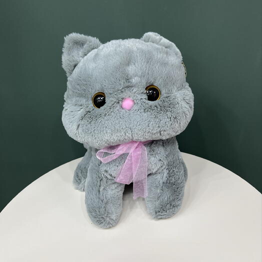 Кот