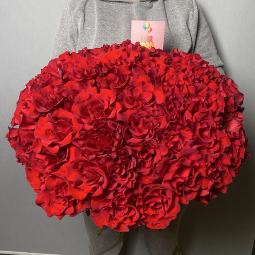 51 красная французская роза 🌹